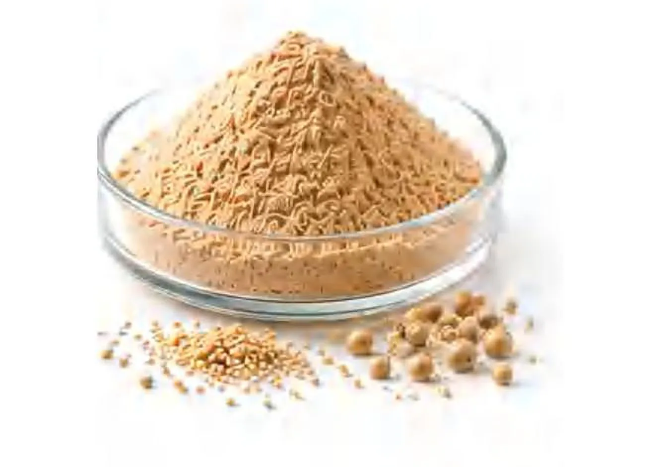 AquaGlucan™ Yeast β-1,3-D-Glucan — PANGOO feed yeast