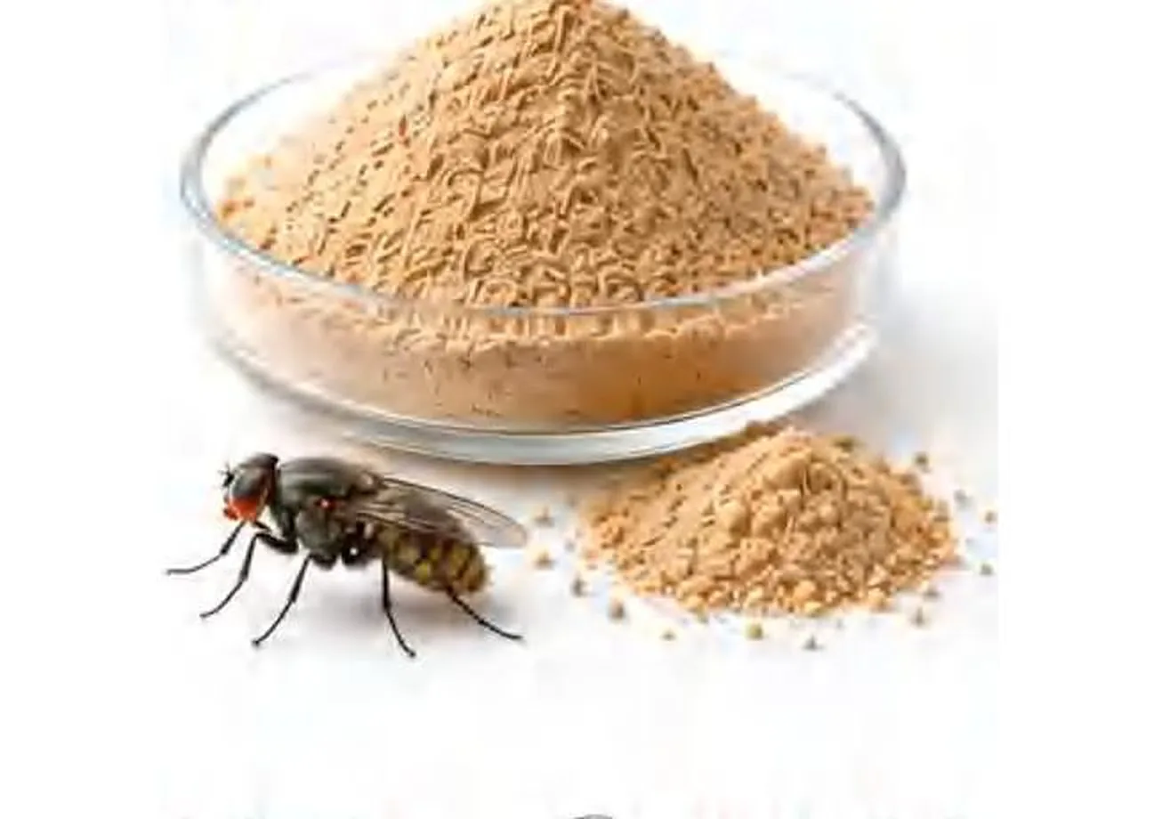 AromaFly™ Yeast Derivative for Fly Control — PANGOO feed yeast