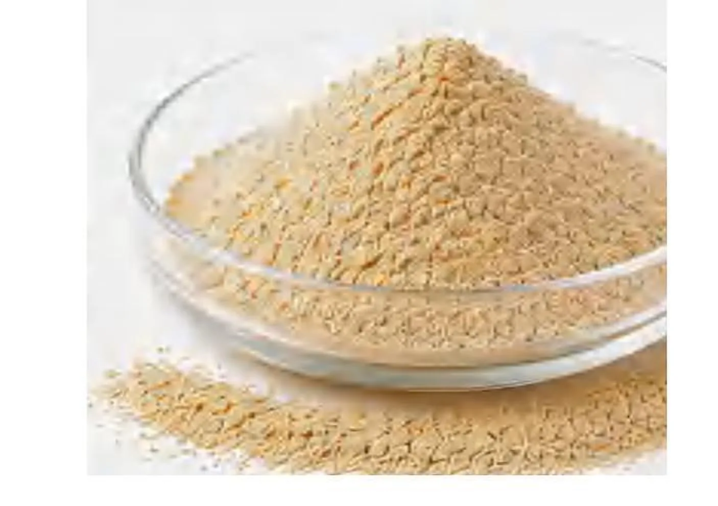 MolassePro™ Ruminant Yeast — PANGOO feed yeast