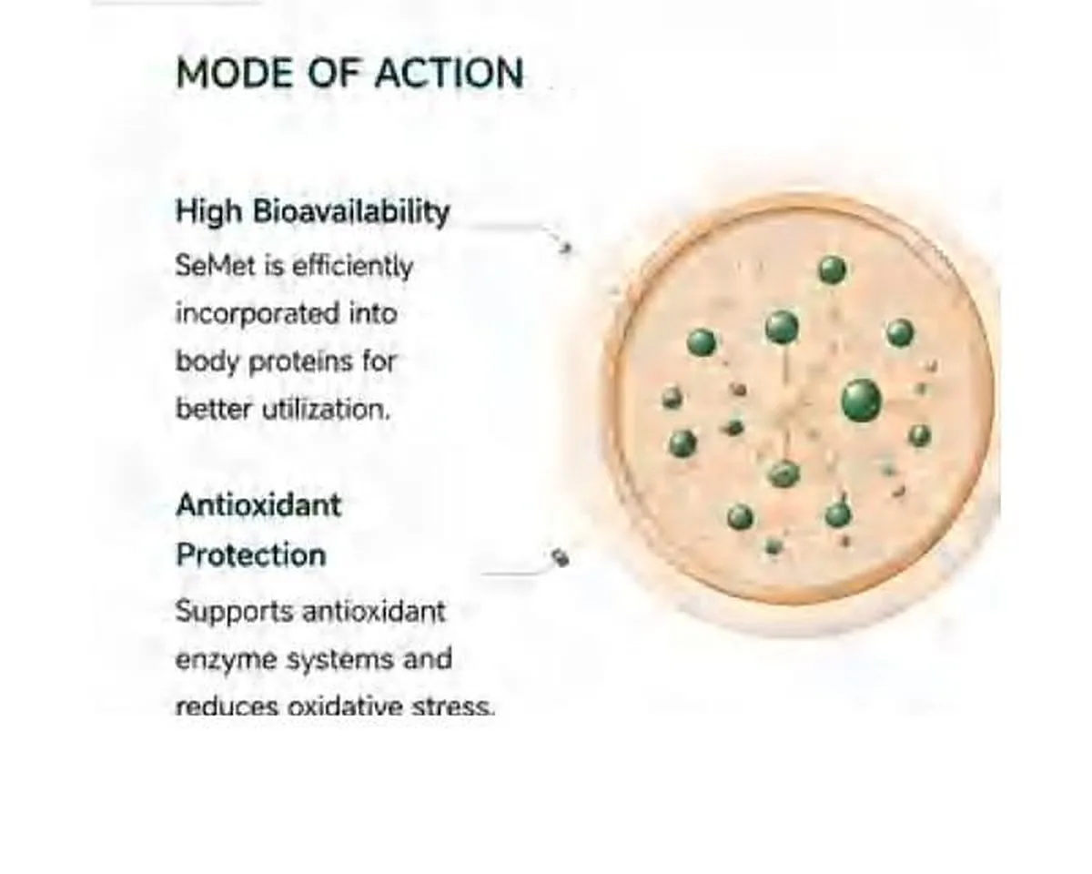 SeleniPro™ Organic Selenium Yeast — PANGOO feed yeast